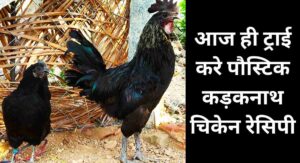 Kadaknath chicken recipe